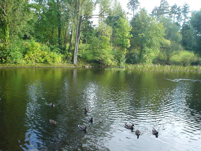 公園にて・1