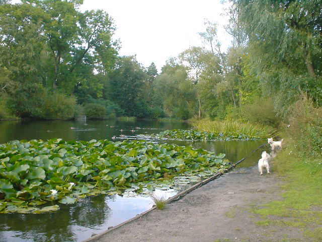 公園にて・3