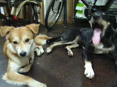 R0016451.jpg