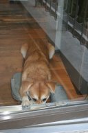 IMG_1037.JPG