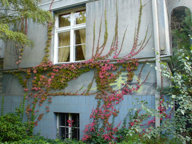 20031016_2.jpg