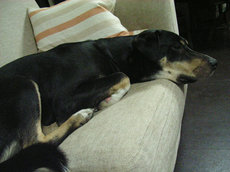 0521RIMG0048.JPG