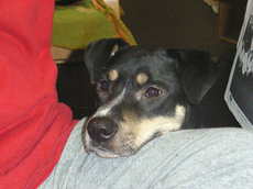 0607RIMG0035_1.JPG