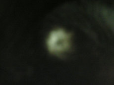0612RIMG0002.jpg