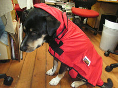 0620RIMG0012.jpg