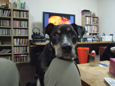 R0011160.jpg