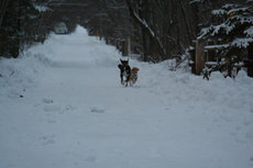 IMG_6514.jpg