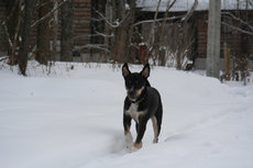 IMG_6727.jpg