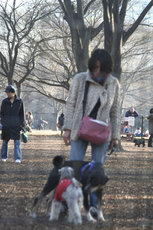 _MG_7080.jpg