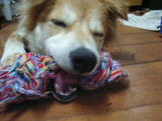 R0016236.jpg