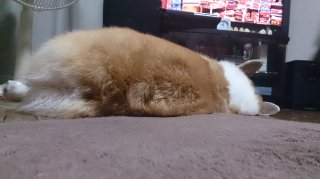 DSC_0212.jpg