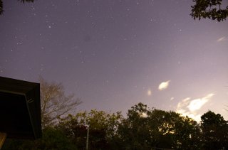 _IGP1855_2_1.jpg