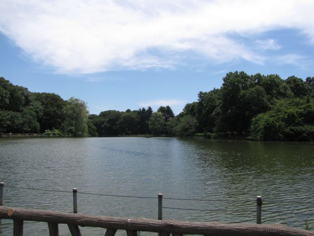 IMG_7699.jpg IMG_7699.jpg