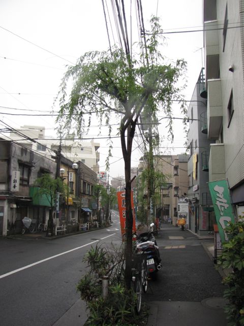 IMG_5174_2.jpg