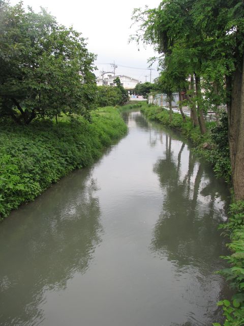 IMG_6129.jpg IMG_6129.jpg