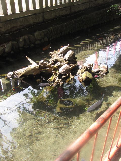 IMG_6170.jpg