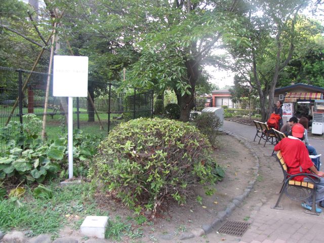 IMG_8372.jpg IMG_8372.jpg