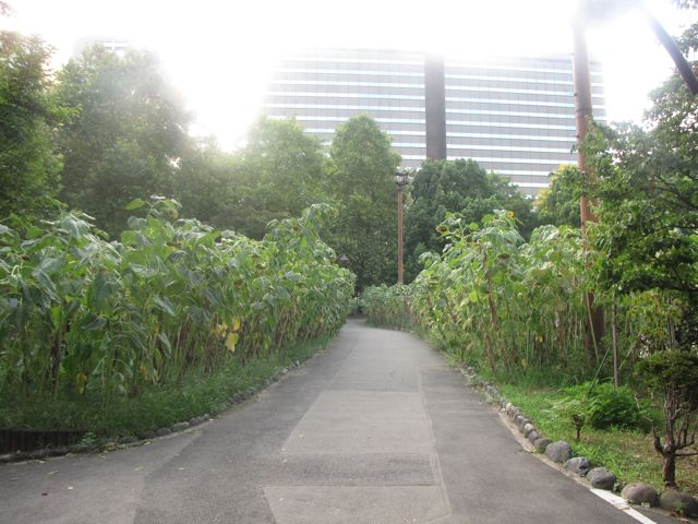 IMG_8374.jpg IMG_8374.jpg