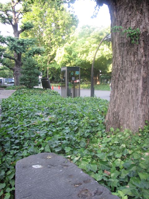 IMG_8376.jpg IMG_8376.jpg