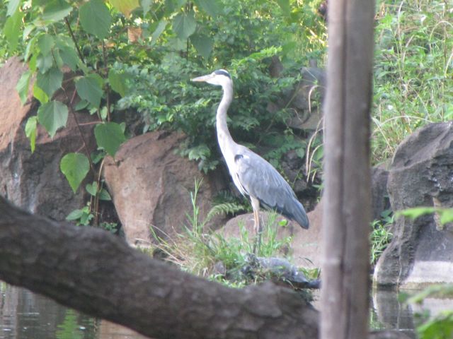 IMG_8394.jpg IMG_8394.jpg
