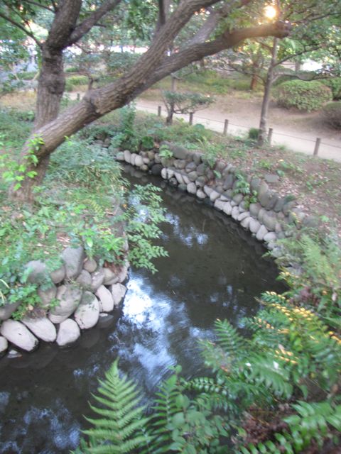 IMG_8457.jpg IMG_8457.jpg