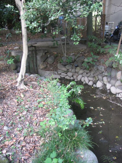 IMG_8471.jpg IMG_8471.jpg