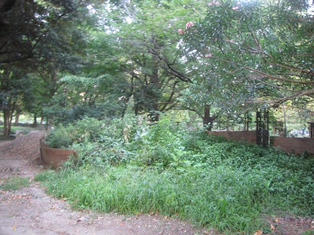 IMG_8477.jpg IMG_8477.jpg