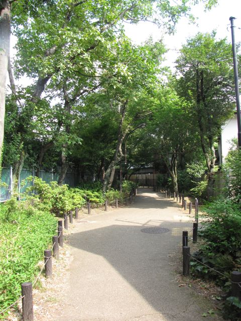 IMG_8631.jpg IMG_8631.jpg