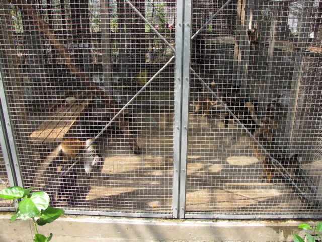 IMG_8657.jpg IMG_8657.jpg