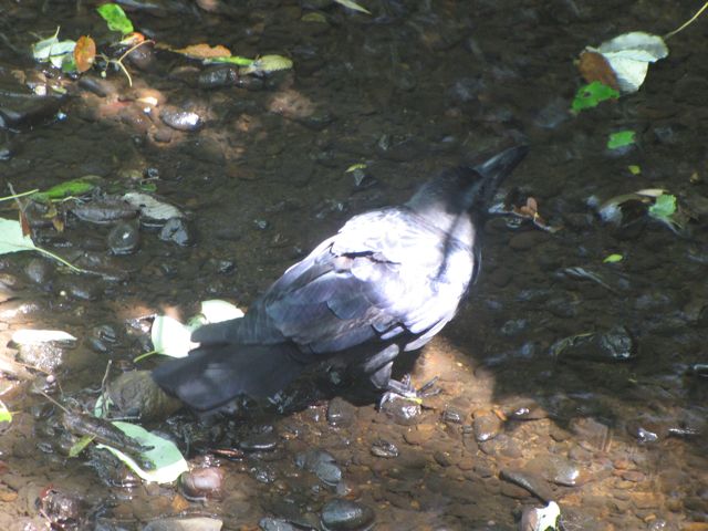 IMG_8891.jpg