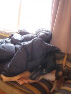IMG_0278.JPG