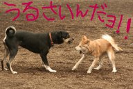 _MG_2481.jpg