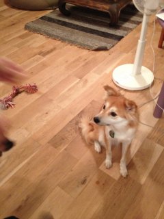 IMG_1982.jpg