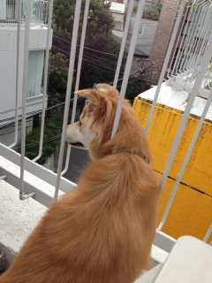 IMG_1993.jpg