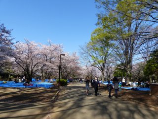 P1020182.JPG