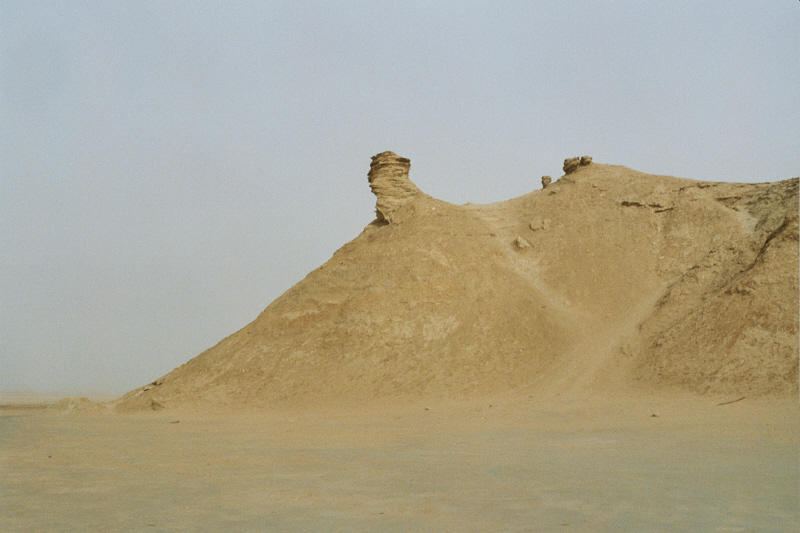 Camille _12_0144.jpg