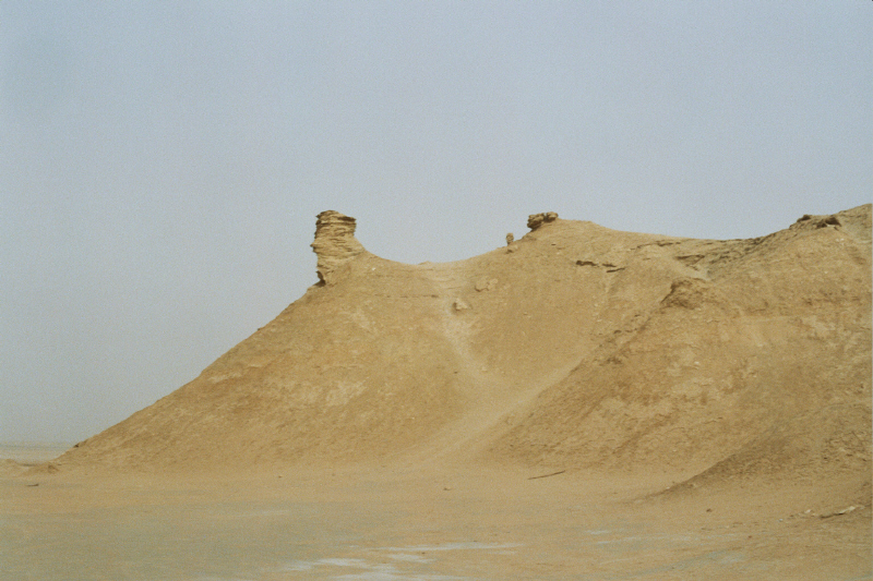 Camille _12_0144.jpg