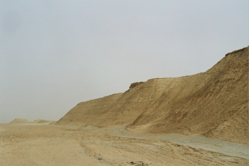 Camille _12_0144.jpg