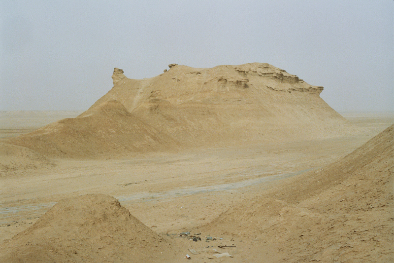 Camille _12_0144.jpg