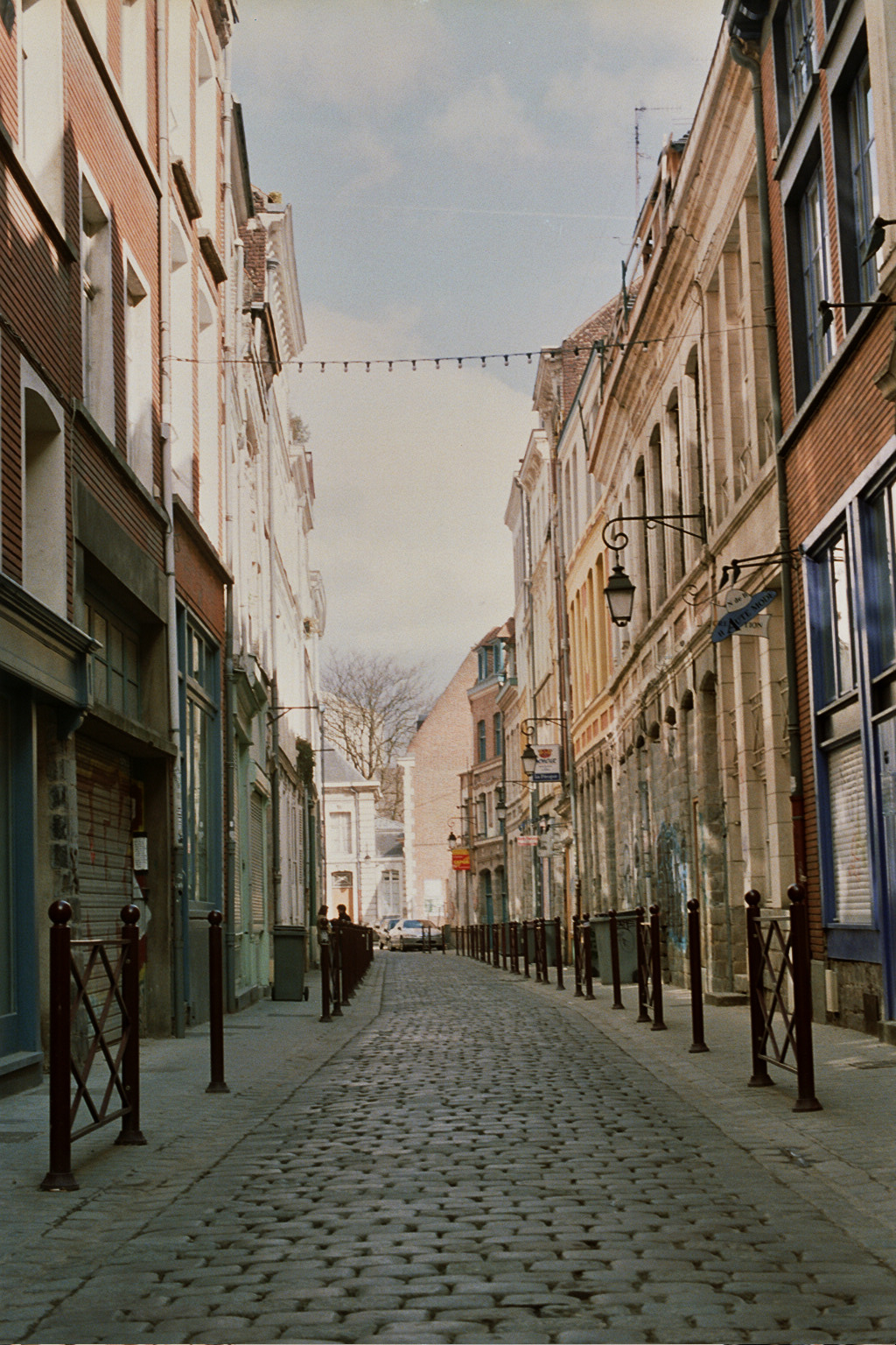 Camille _12_0144.jpg