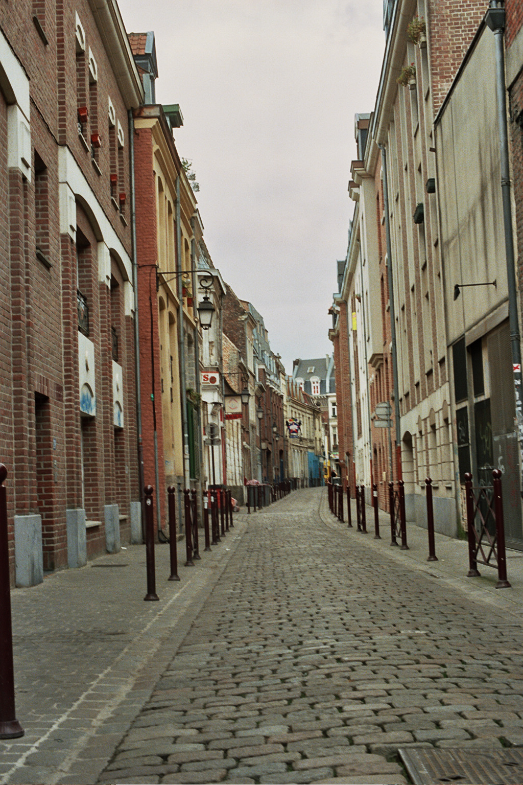 Camille _12_0144.jpg