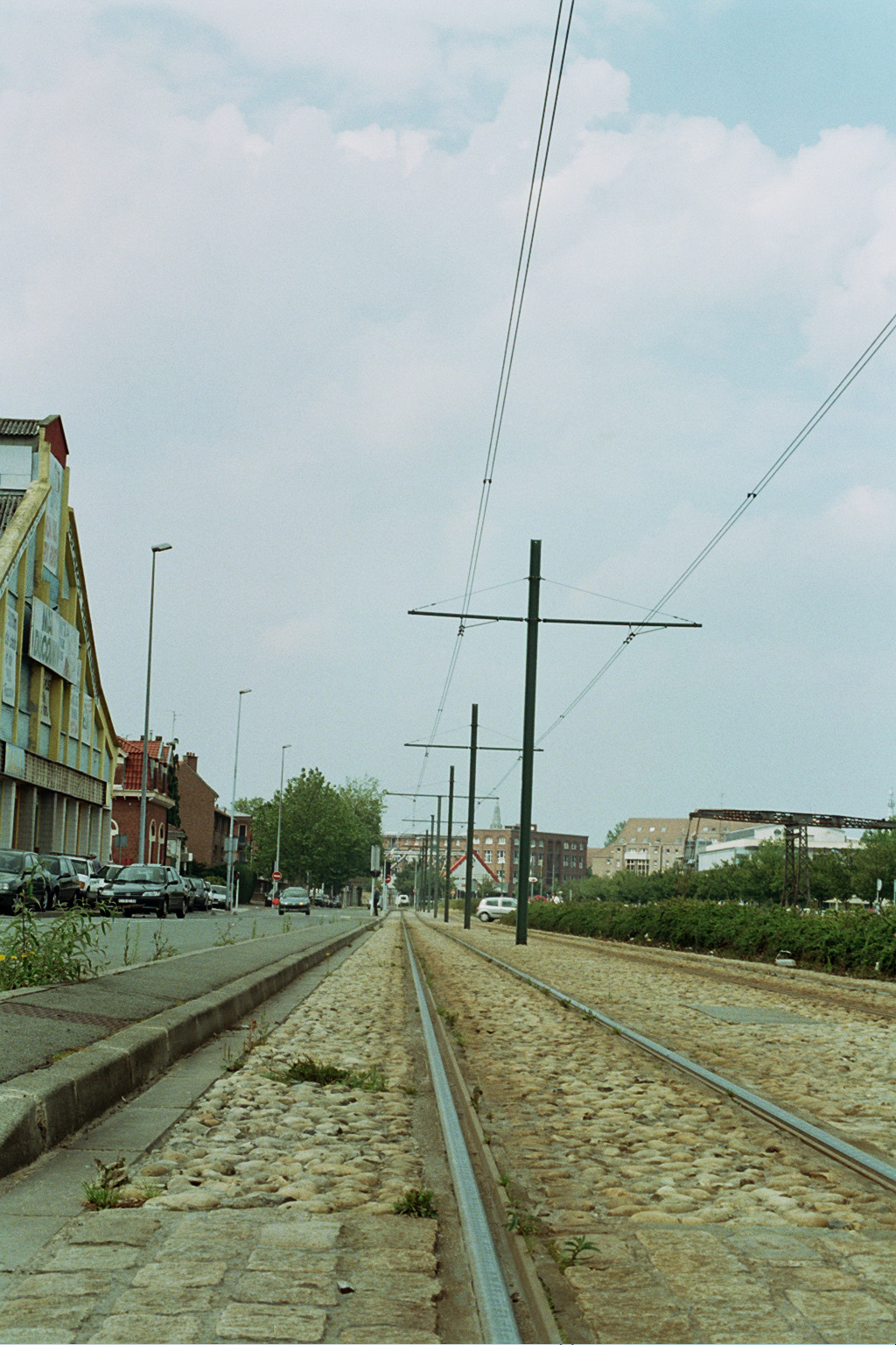 Camille _12_0144.jpg