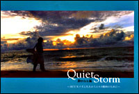 Quiet Storm �Â��Ȃ闒