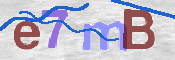 キャプチャ画像