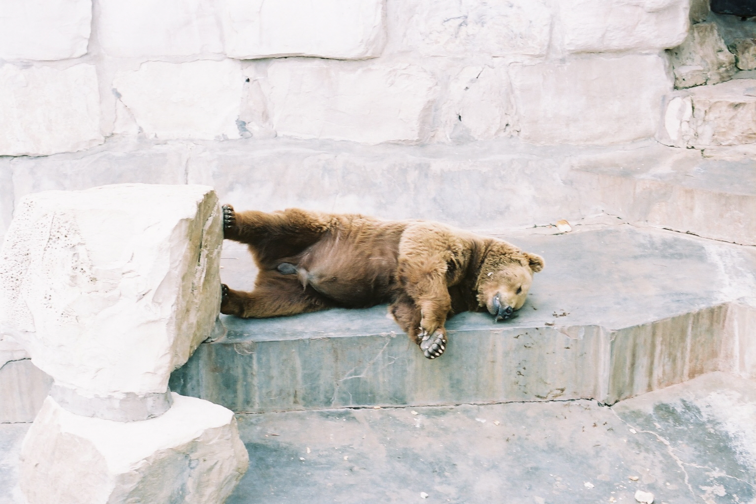 Camille _12_0144.jpg