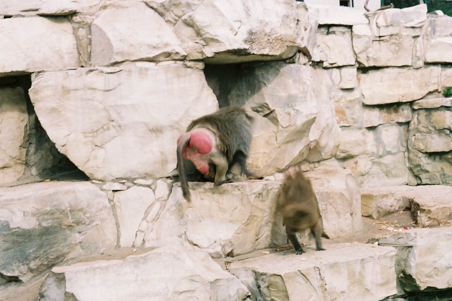 Camille _12_0144.jpg