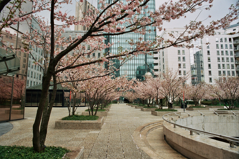 Camille _12_0144.jpg